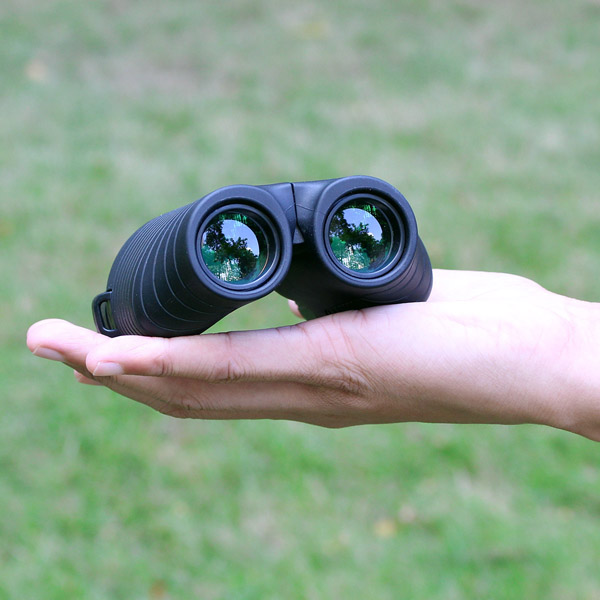 SV10 8x25 Porro Binocular Fixed-focus Black Hiking Camping Bird Watching
