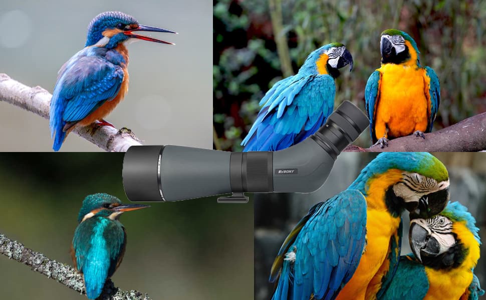 How to Remove The Eyepiece of SA405 20-60x85 ED Spotting Scope?