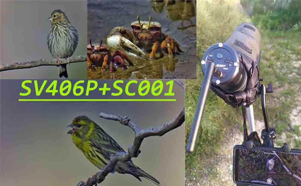 Review of the SV406P Spotting Scope-SC001 Camera