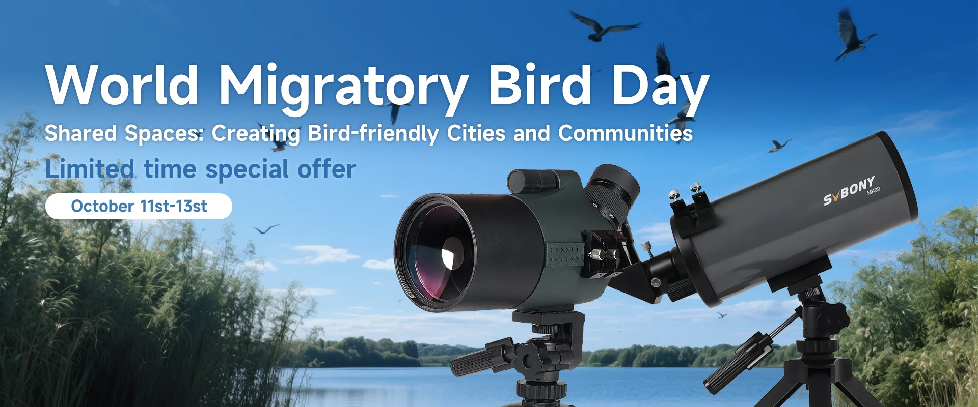 World Migratory Bird Day