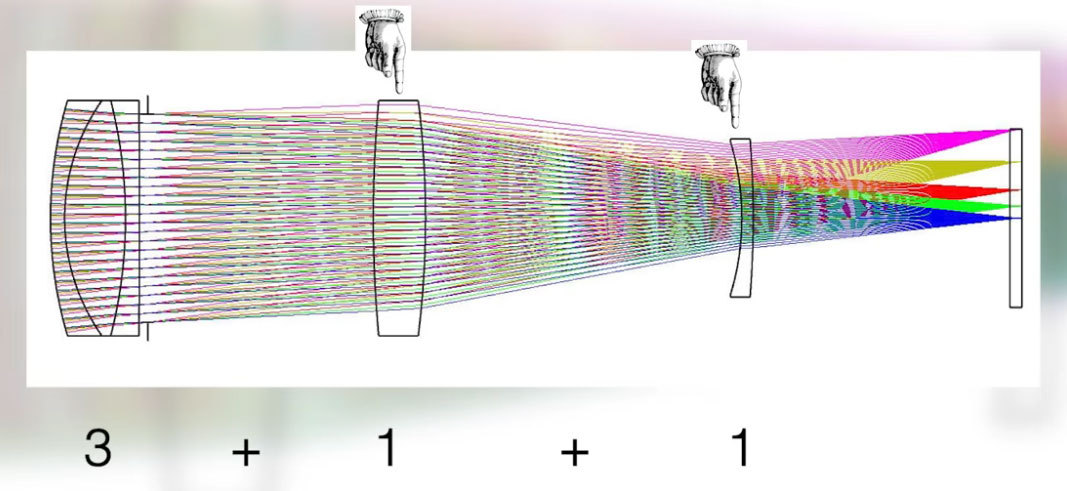 back section