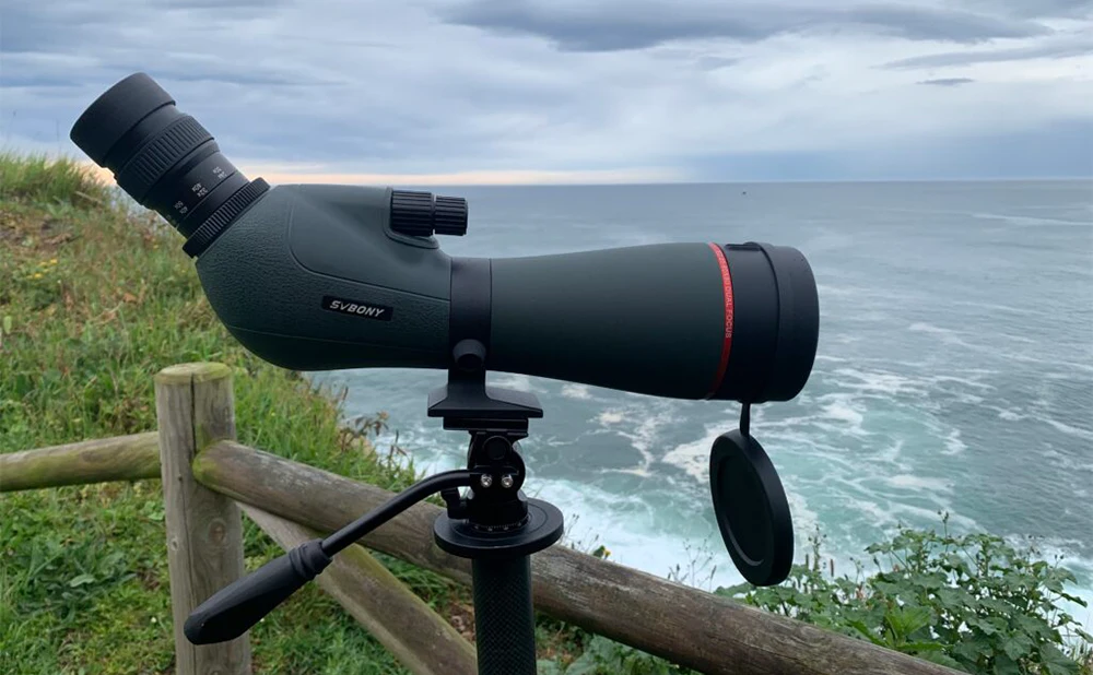 The Review of SV406P