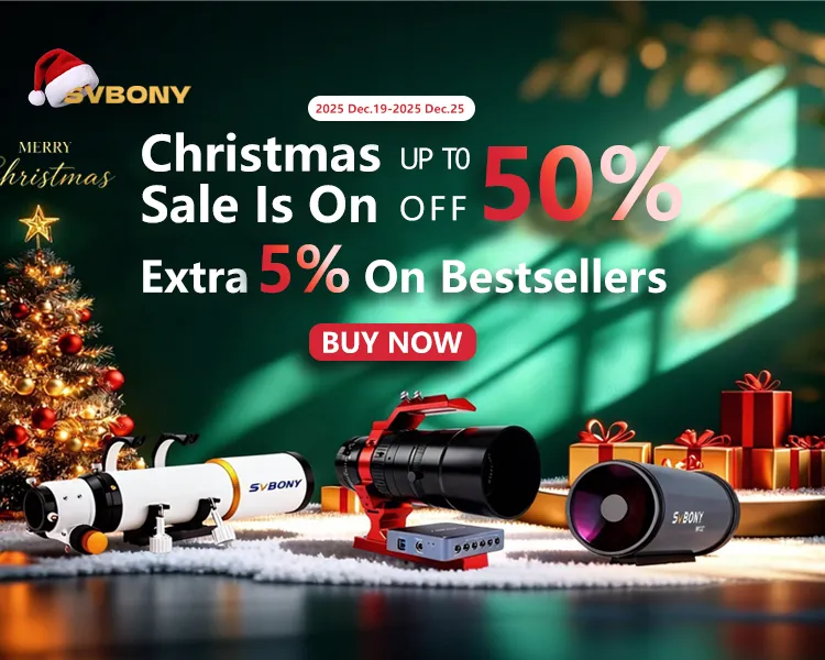 Christmas Sale: Up To 50% OFF + 5% Extra On Bestsellers