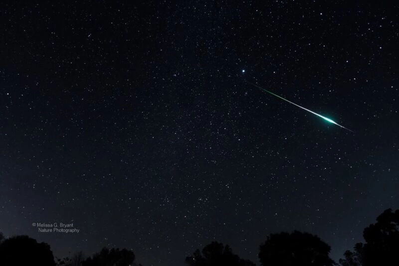 Photos of the Leonid meteor shower.
