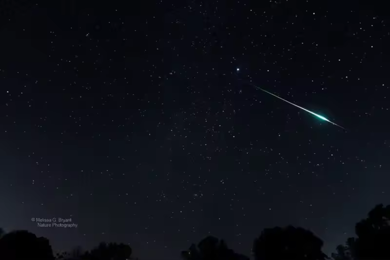 Photos of the Leonid meteor shower.