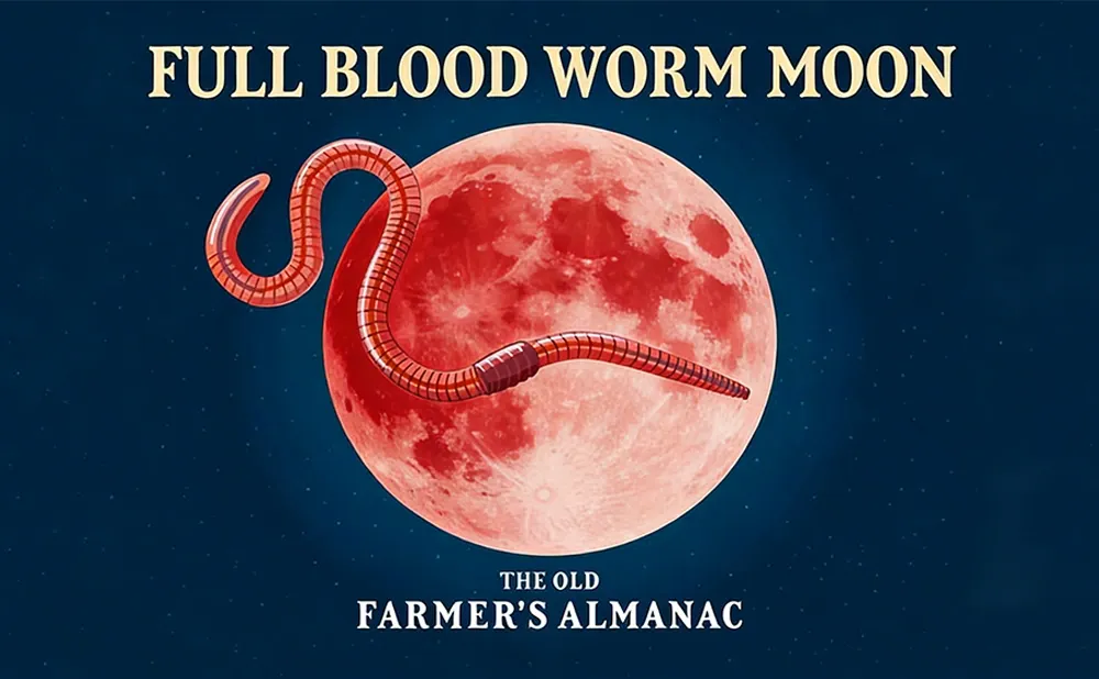 Worm Moon - The Full Moon in March