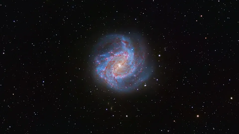 creation-2