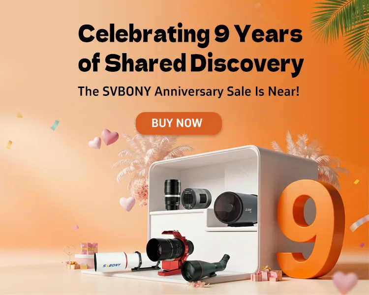 Nine Years of Journey