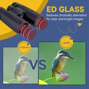 SV202 10x42ED Binoculars Extra-Low Dispersion Bak4 Waterproof Fogproof for Bird Watching