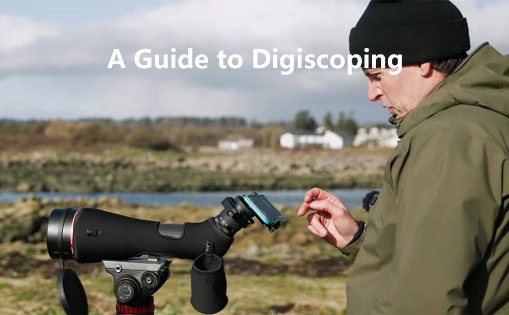 A Guide to Digiscoping