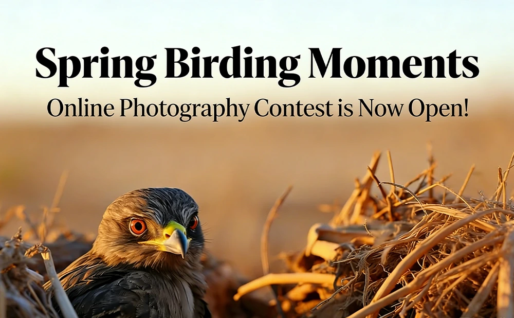 SVBONY Spring Birding Moments Online Photography Contest is Now Open!