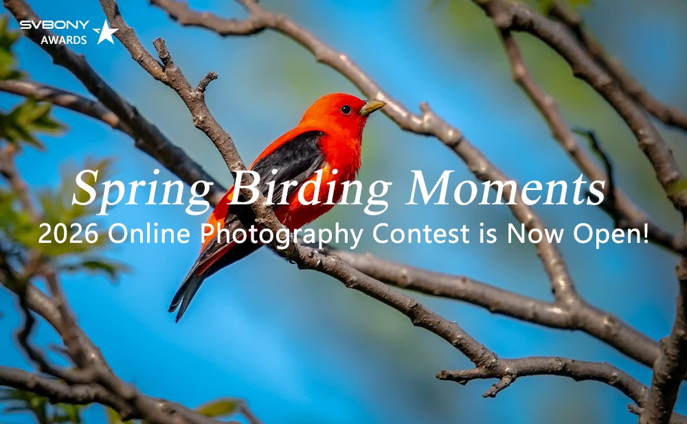 SVBONY Spring Birding Moments 2026 Online Photography Contest is Now Open!