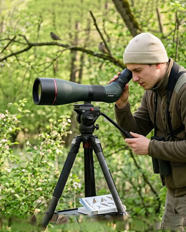 Birdwatching challenge