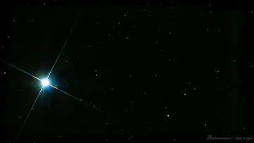 Star Vega