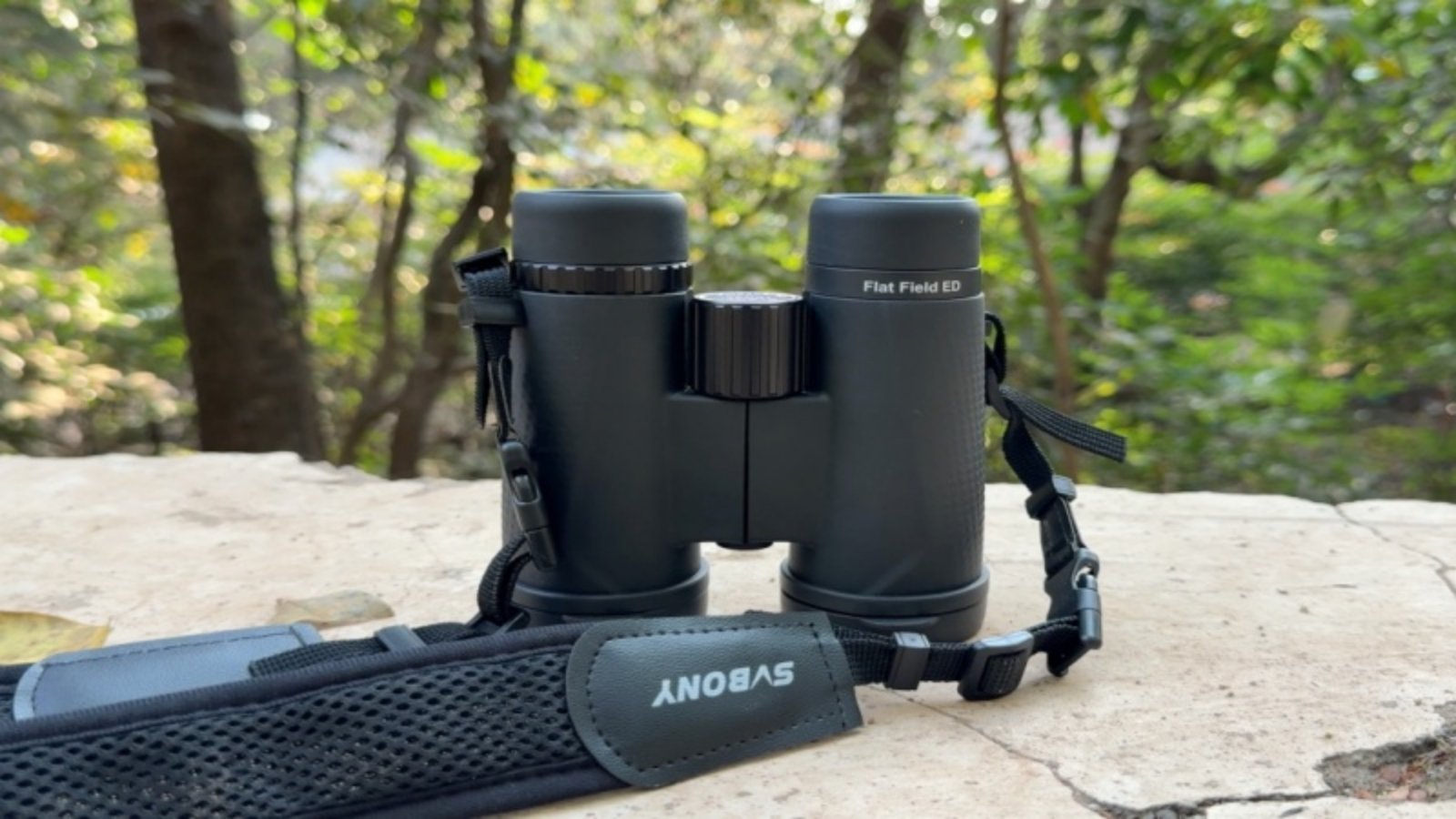  svbony binoculars for bird watching