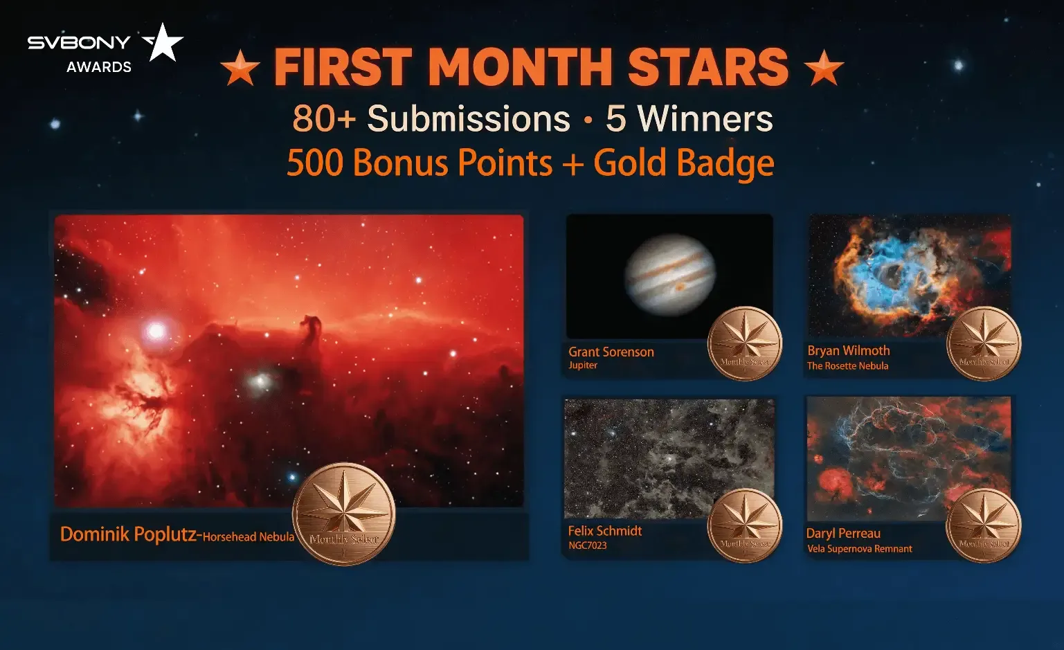 🎉 First Month of the Gallery: 80+ Works & 5 Monthly Stars! Each Wins 500 Points + a Gold Badge