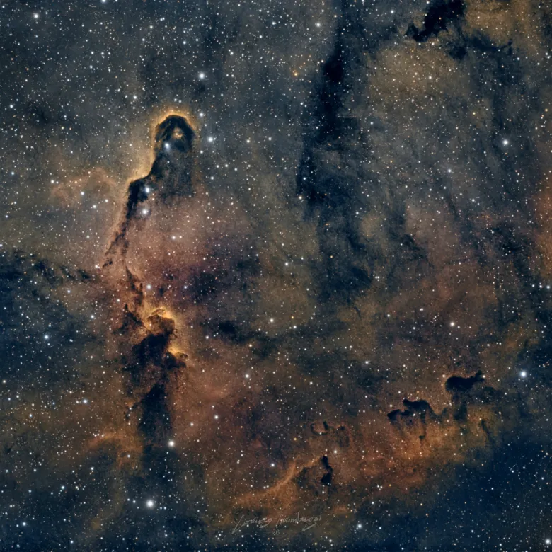 Ic1396