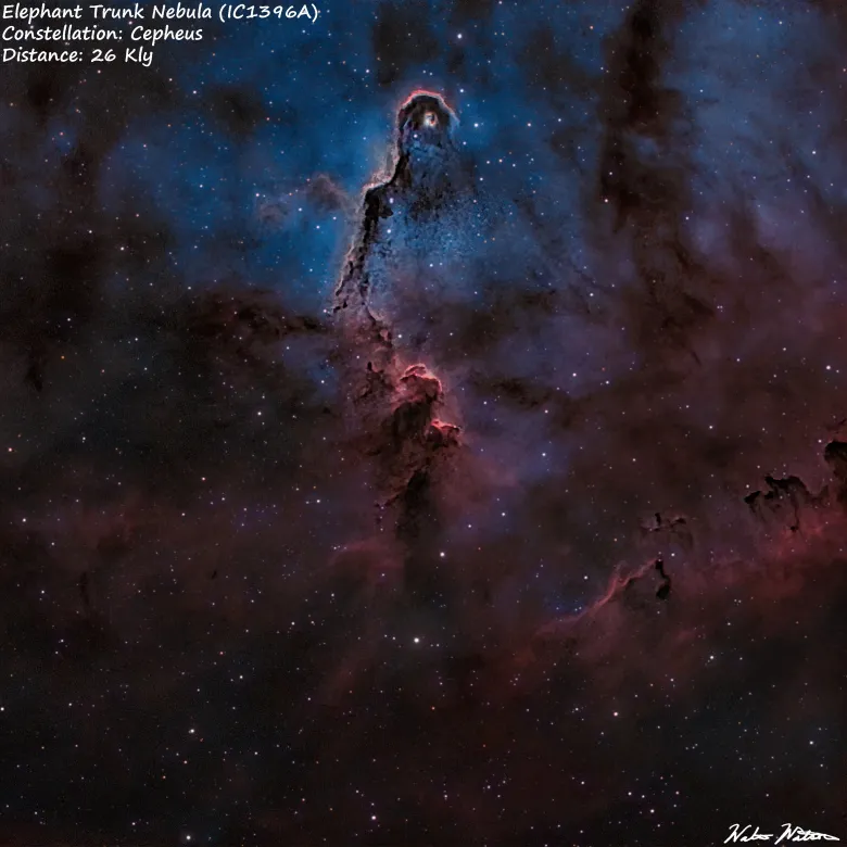 Elephant Trunk Nebula IC1396A,  August contest entry