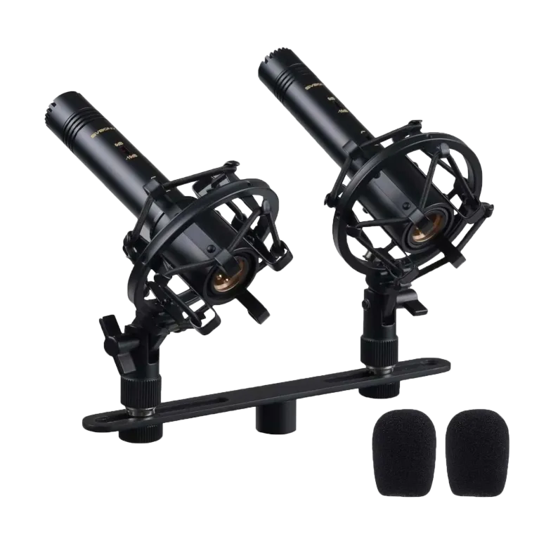 SVBONY SVMic M1 Wireless Handheld Condenser Mic System for Singing