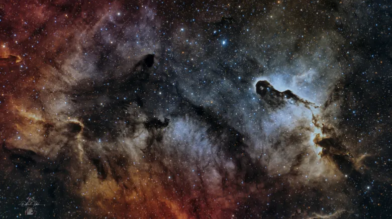 IC1396A Elephant Trunk Nebula 