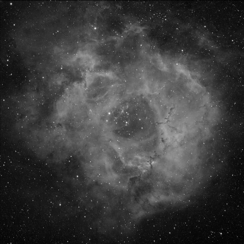 Review Image 1009861