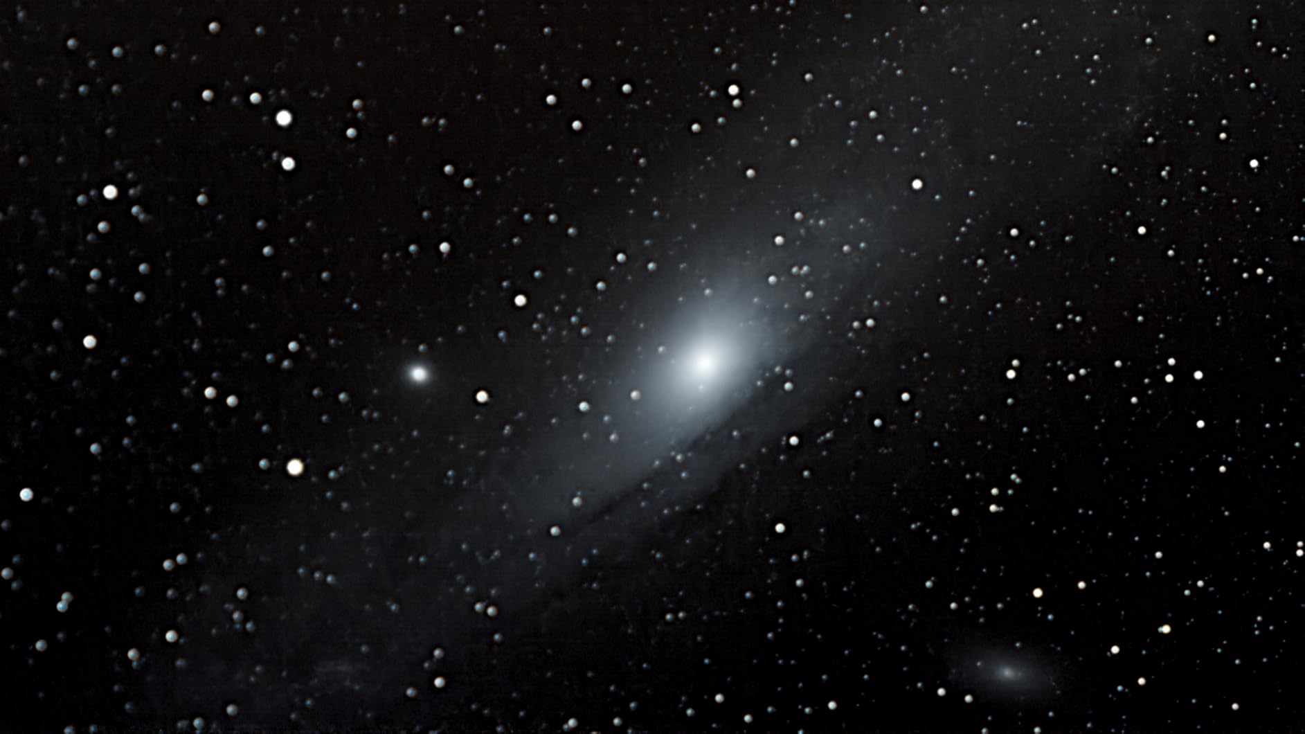 Review Image 1009872